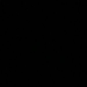 Meet your Posher, Ben